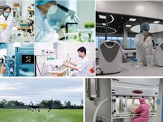 Ban hành Khung chỉ số đánh giá tiềm lực, trình độ KH, CN và ĐMST quốc gia